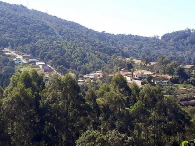 Sítio e chácara venda em Caldas, Região Geográfica Intermediária de Pouso Alegre