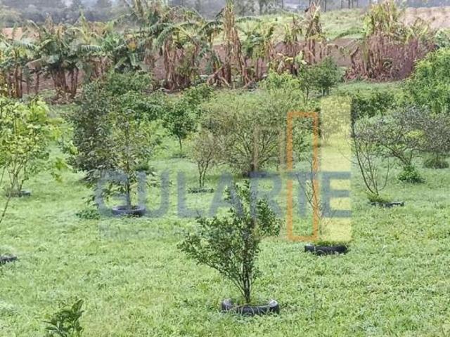 Sítio e chácara venda em Camaquã