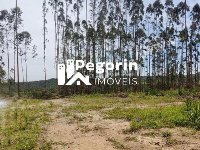 Sítio e chácara venda em Região Geográfica Imediata de Curitiba, Região Metropolitana de Curitiba