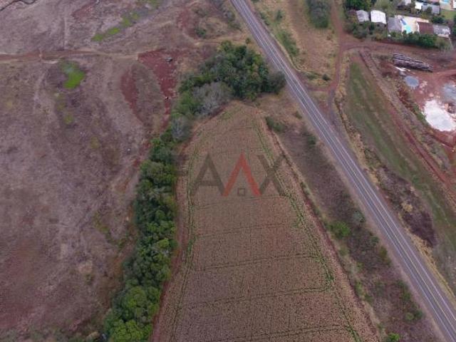 Sítio e chácara venda em Região Geográfica Imediata de Guarapuava, Candói