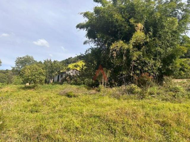 Sítio e chácara venda em Região Geográfica Imediata de Guarapuava, Cantagalo