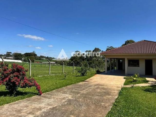 Sítio e chácara venda em Santa Cândida, Carambeí