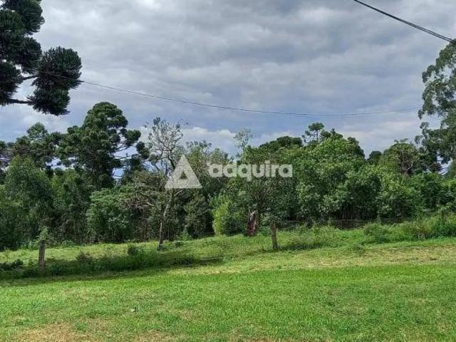 Sítio e chácara venda em Santa Cândida, Carambeí