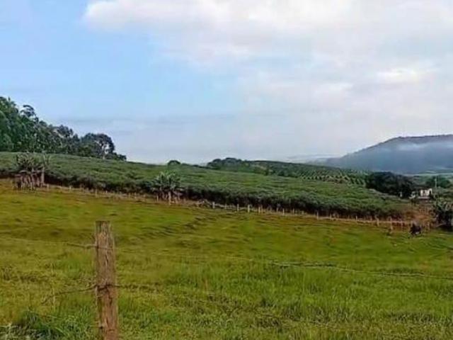 Sítio e chácara venda em Região Geográfica Imediata de Pouso Alegre, Careaçu