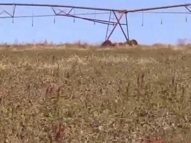 Sítio e chácara venda em Carmo do Rio Claro, Região Geográfica Intermediária de Varginha