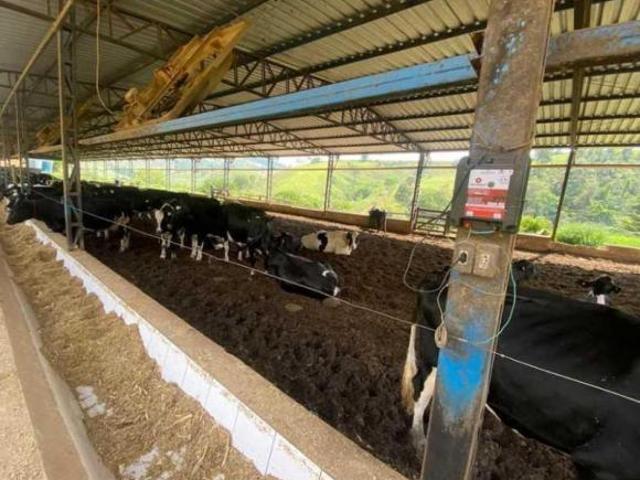 Sítio e chácara venda em Região Geográfica Imediata de Juiz de Fora, Juiz de Fora