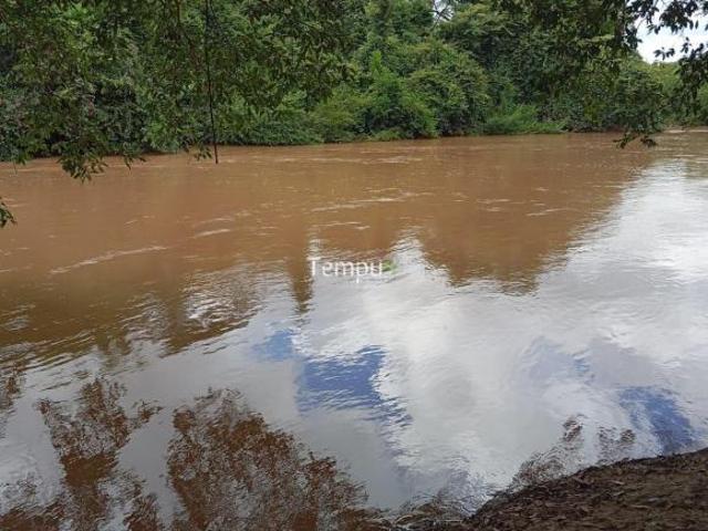 Sítio e chácara venda em Cezarina, Região Geográfica Intermediária de São Luís de Montes Belos-Iporá
