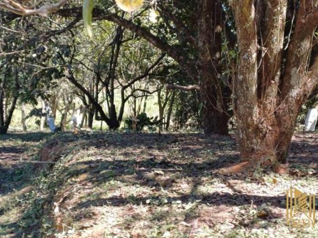 Sítio e chácara venda em Região Geográfica Imediata de Pouso Alegre, Congonhal
