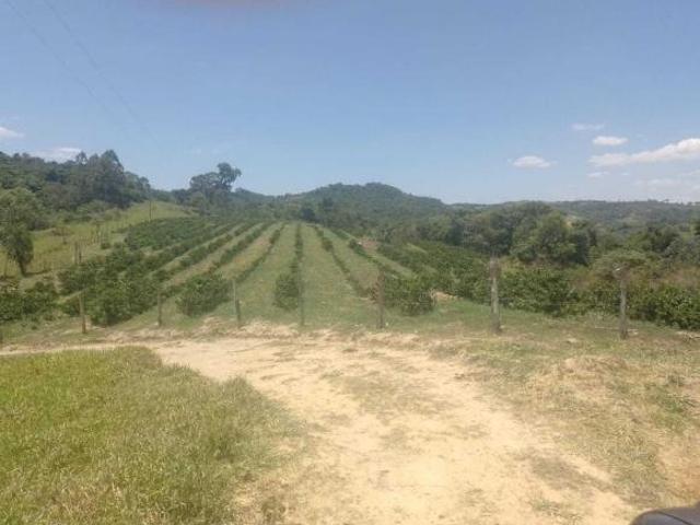 Sítio e chácara venda em Região Geográfica Imediata de Gurupi, Formoso do Araguaia