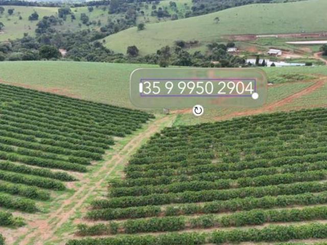 Sítio e chácara venda em Região Geográfica Imediata de Varginha, Cordislândia