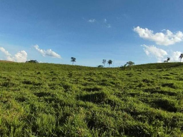 Sítio e chácara venda em Região Geográfica Imediata de Formiga, Córrego danta