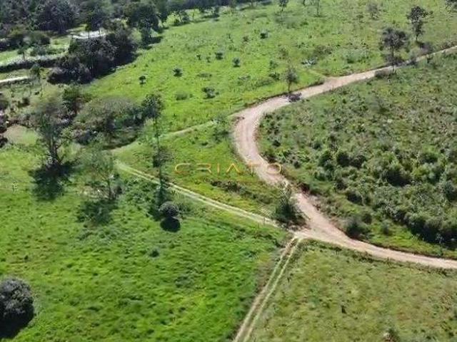 Sítio e chácara venda em Região Geográfica Imediata de Anápolis, Região Integrada de Desenvolvimento do Distrito Federal e Entorno