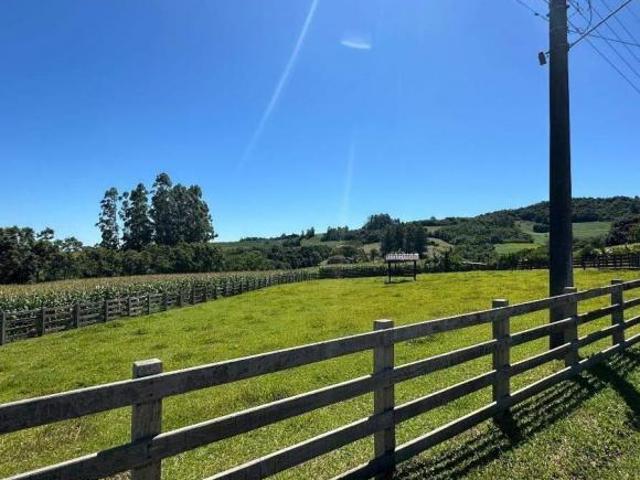 Sítio e chácara venda em Região Geográfica Imediata de Caxias do Sul, São Marcos