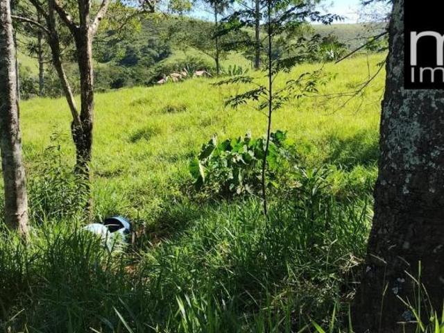 Sítio e chácara venda em Região Imediata de Guaratinguetá, Região Metropolitana do Vale do Paraíba e Litoral Norte