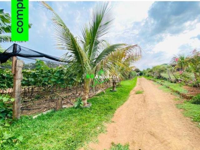 Terreno venda em Ribeirão Corrente