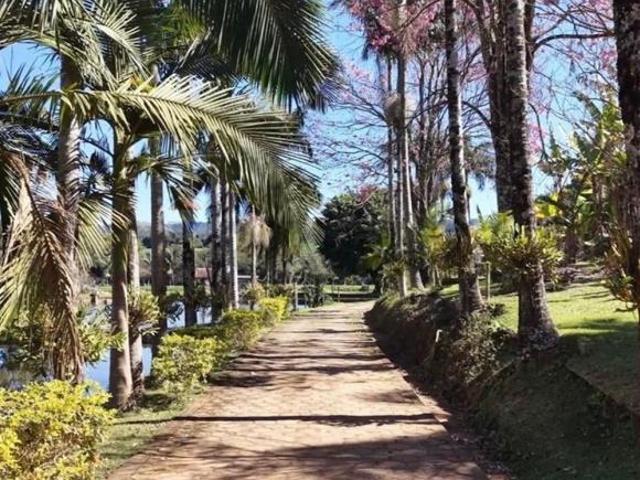 Terreno venda em Jardim Antonieta, Monte Sião