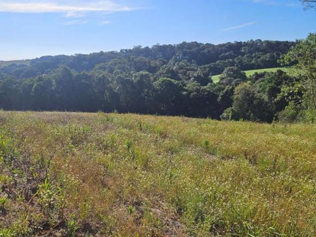 Terreno venda em Campo de São Benedito, Campo Magro