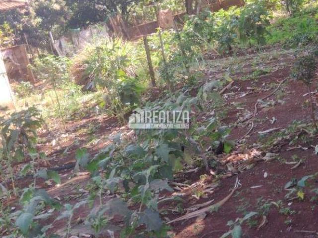 Sítio e chácara venda em Região Geográfica Imediata de Uberaba, Delta