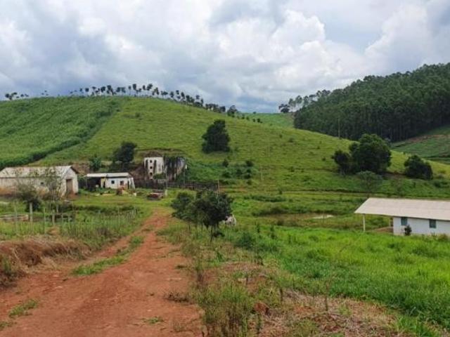 Sítio e chácara venda em Região Geográfica Imediata de São Lourenço, Dom Viçoso