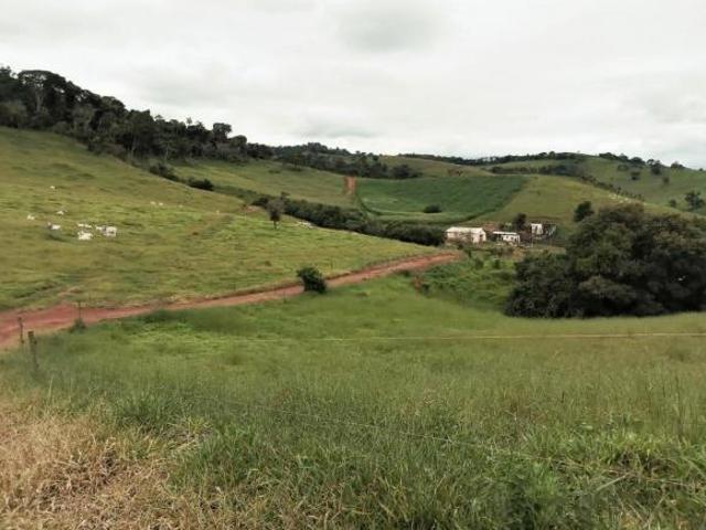 Sítio e chácara venda em Região Geográfica Imediata de Gurupi, Formoso do Araguaia