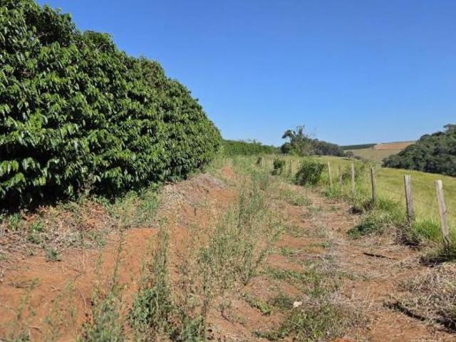 Sítio e chácara venda em Região Geográfica Imediata de Varginha, Elói Mendes
