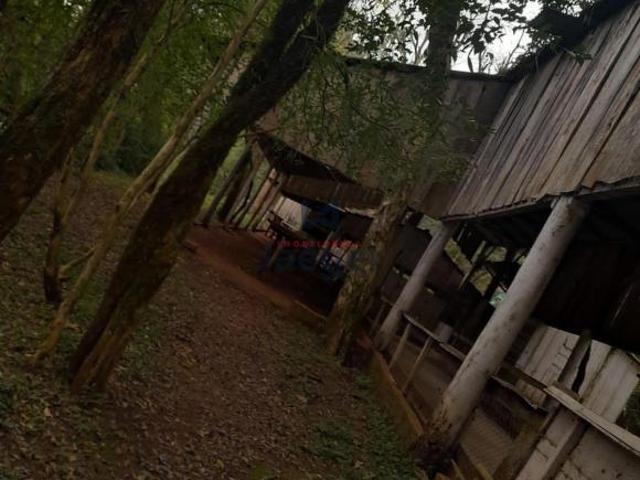 Sítio e chácara venda em Entre-Ijuís