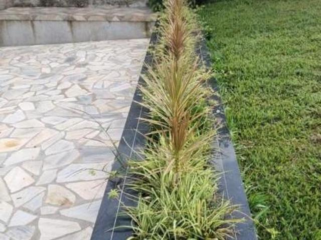 Sítio e chácara venda em Centro, Entre Rios de Minas