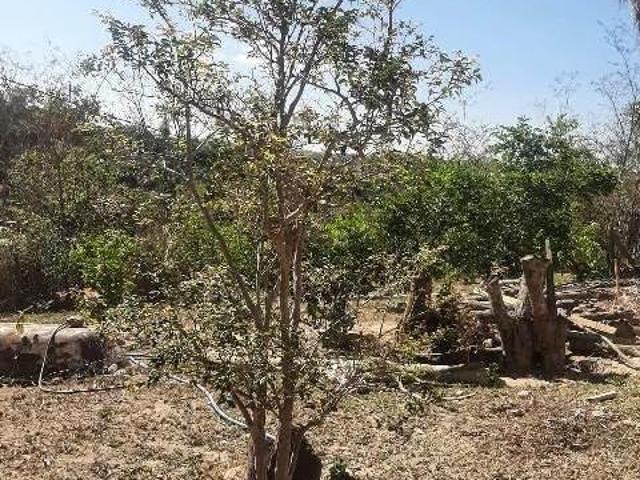 Sítio e chácara venda em Andiroba, Esmeraldas
