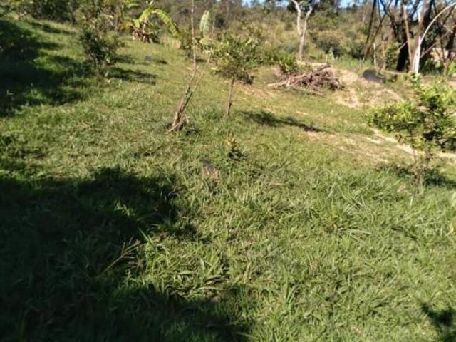 Sítio e chácara venda em Chuvinha, Santana de Pirapama