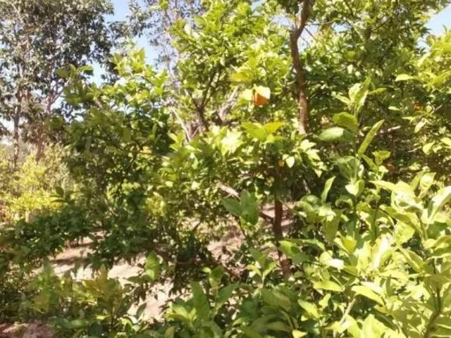 Sítio e chácara venda em Região Geográfica Imediata de Sete Lagoas, Santana de Pirapama