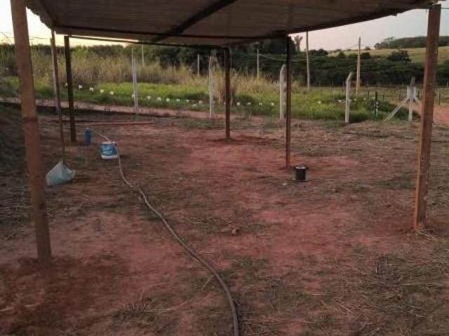 Sítio e chácara venda em Região Imediata de Fernandópolis, Fernandópolis