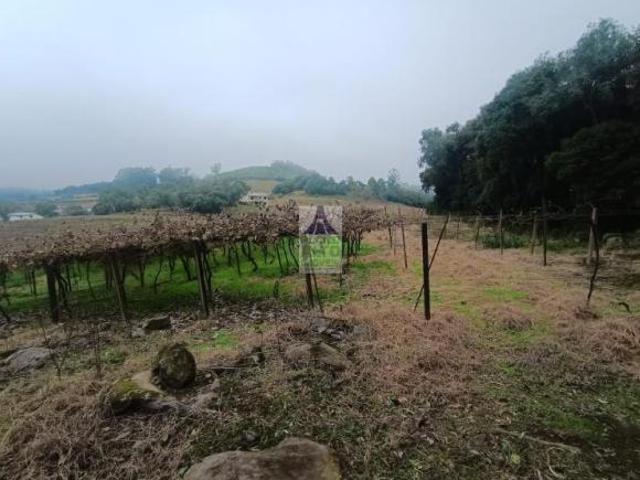 Sítio e chácara venda em Região Geográfica Imediata de Caxias do Sul, Flores da Cunha