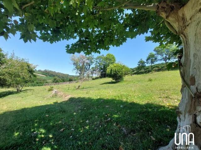 Sítio e chácara venda em Garibaldi