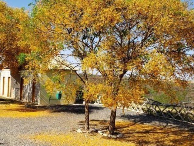 Sítio e chácara venda em Região Geográfica Imediata de Anápolis, Goianápolis