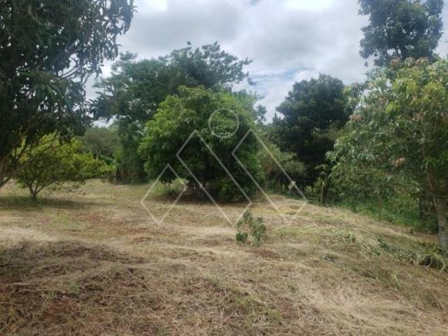 Sítio e chácara venda em Região Geográfica Imediata de Londrina, Ibiporã