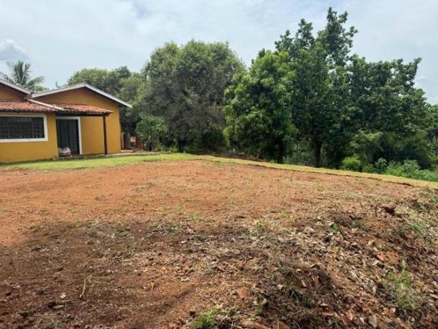 Sítio e chácara venda em Região Geográfica Imediata de Londrina, Ibiporã