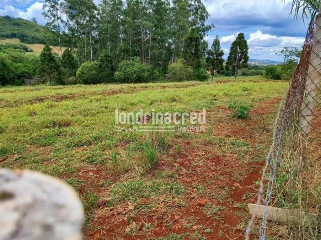 Sítio e chácara venda em Região Geográfica Imediata de Londrina, Ibiporã