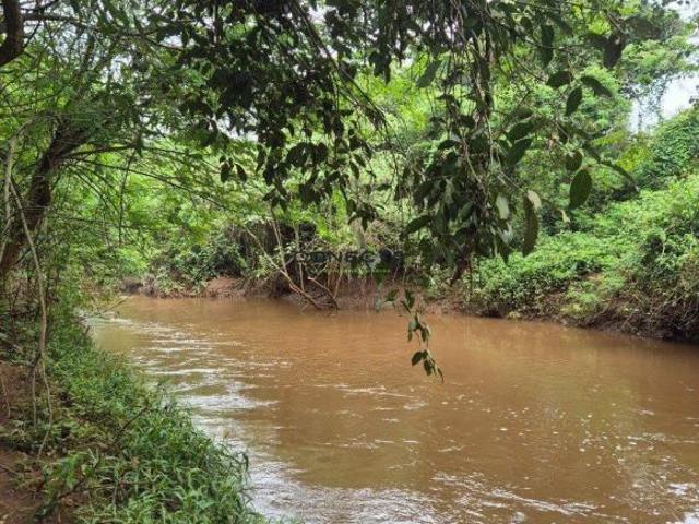 Sítio e chácara venda em Ibiporã, Região Geográfica Intermediária de Londrina