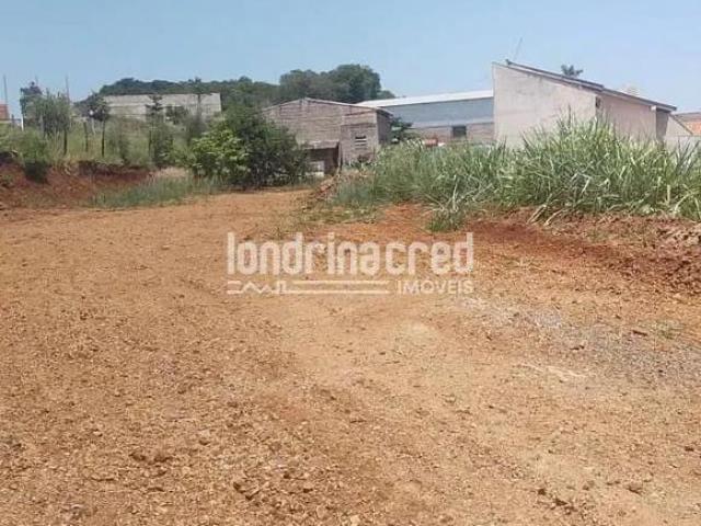 Sítio e chácara venda em Região Geográfica Imediata de Londrina, Ibiporã