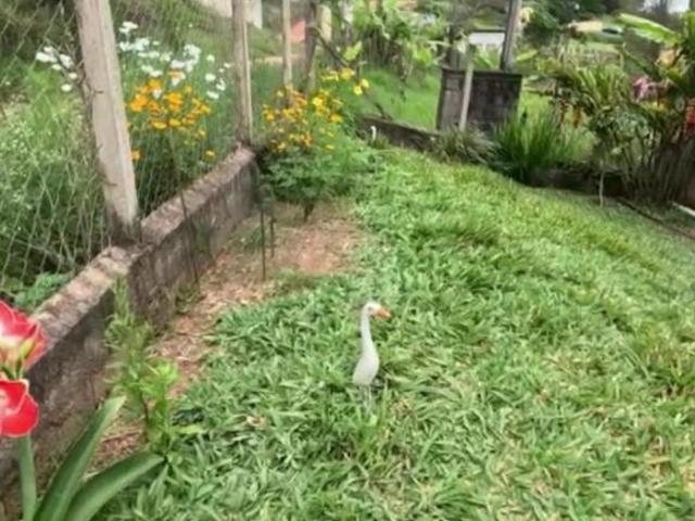 Sítio e chácara venda em Região Imediata de Sorocaba, Região Metropolitana de Sorocaba