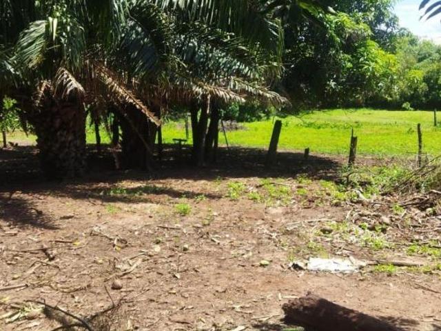 Sítio e chácara venda em Região Imediata de São José do Rio Preto, Região Metropolitana de São José do Rio Preto