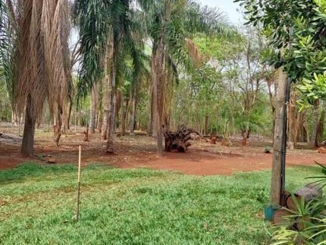 Sítio e chácara venda em Região Imediata de Fernandópolis, Indiaporã