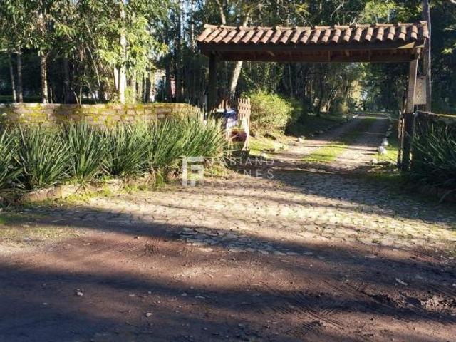 Sítio e chácara venda em Nossa Senhora das Dores, Santa Maria
