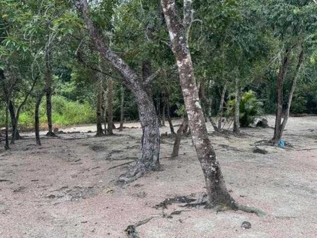 Sítio e chácara venda em Itapuranga, Região Geográfica Intermediária de Goiânia