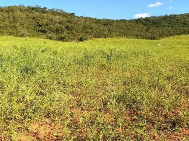 Sítio e chácara venda em Região Geográfica Imediata de Divinópolis, Itaúna