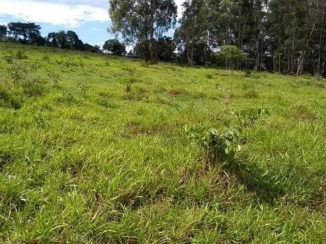 Sítio e chácara venda em Região Geográfica Imediata de Gurupi, Formoso do Araguaia