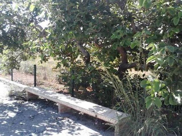 Sítio e chácara venda em Região Geográfica Imediata de Belo Horizonte, Região Metropolitana de Belo Horizonte