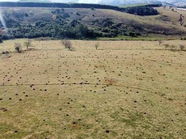 Sítio e chácara venda em Região Geográfica Imediata de Santa Cruz, São Bento do Trairi