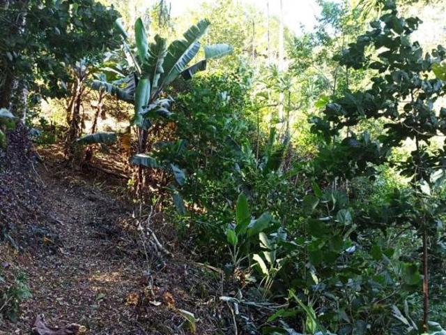 Sítio e chácara venda em Região Imediata de São José dos Campos, Região Metropolitana do Vale do Paraíba e Litoral Norte