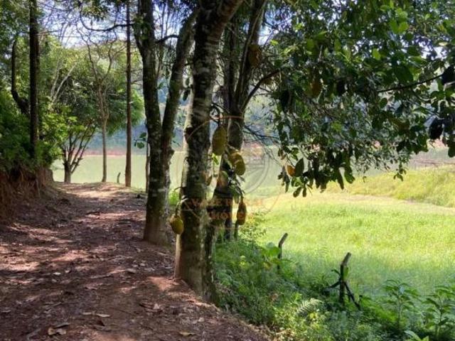 Sítio e chácara venda em Região Imediata de São José dos Campos, Região Metropolitana do Vale do Paraíba e Litoral Norte